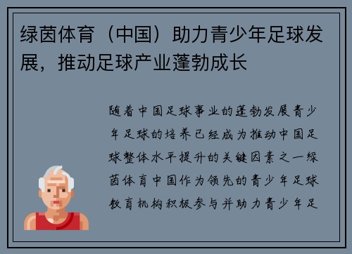 绿茵体育（中国）助力青少年足球发展，推动足球产业蓬勃成长