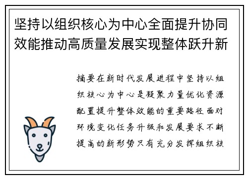 坚持以组织核心为中心全面提升协同效能推动高质量发展实现整体跃升新格局